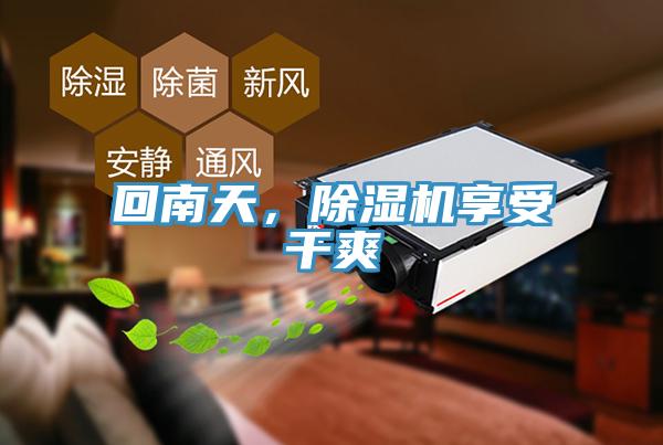 回南天，除濕機享受干爽