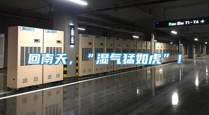 回南天，“濕氣猛如虎”！