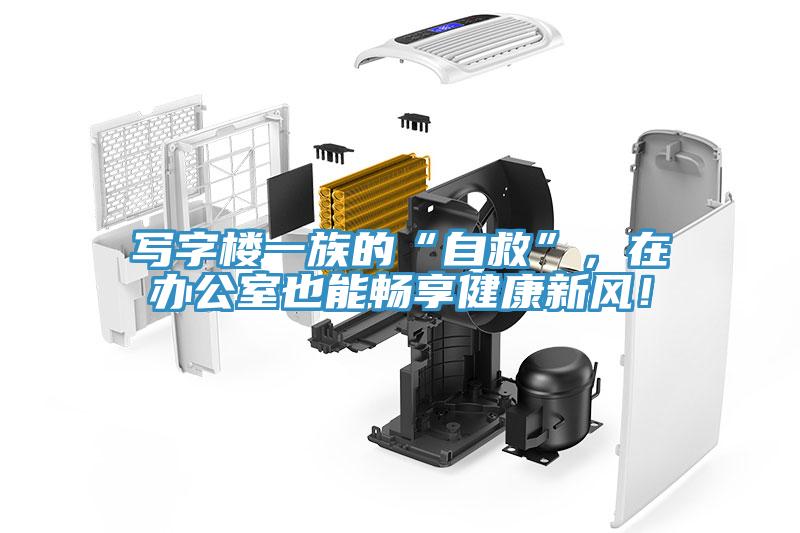 寫字樓一族的“自救”，在辦公室也能暢享健康新風(fēng)！