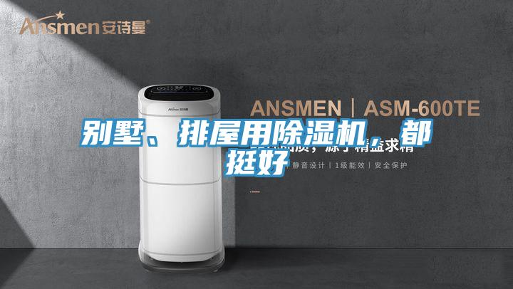別墅、排屋用除濕機，都挺好