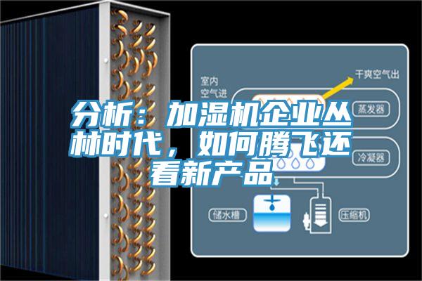 分析：加濕機企業(yè)叢林時代，如何騰飛還看新產品