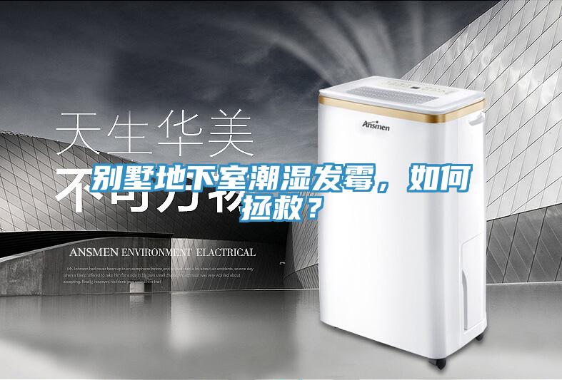 別墅地下室潮濕發(fā)霉，如何拯救？