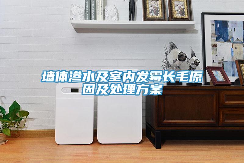 墻體滲水及室內(nèi)發(fā)霉長(zhǎng)毛原因及處理方案