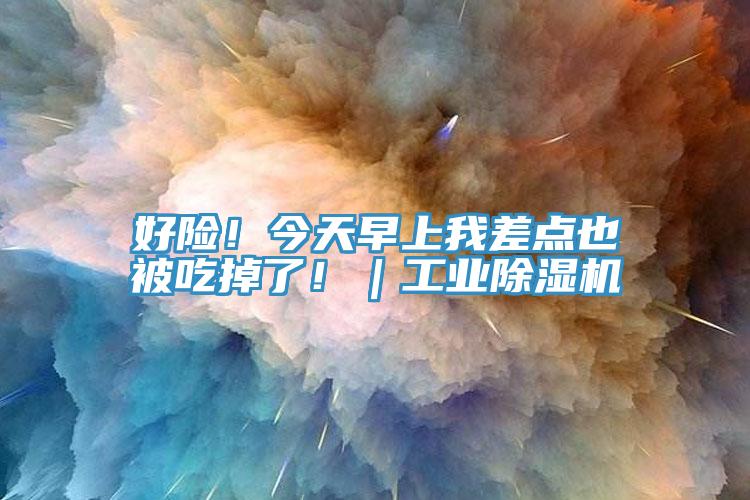 好險(xiǎn)！今天早上我差點(diǎn)也被吃掉了！｜工業(yè)除濕機(jī)