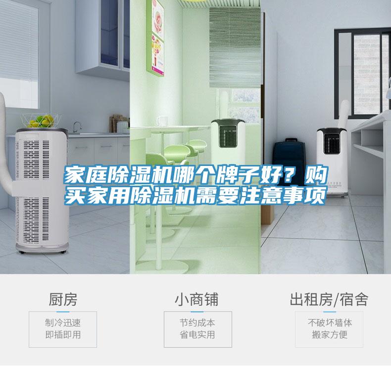 家庭除濕機哪個牌子好？購買家用除濕機需要注意事項