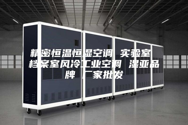 精密恒溫恒濕空調(diào) 實驗室 檔案室風冷工業(yè)空調(diào) 濕亞品牌 廠家批發(fā)