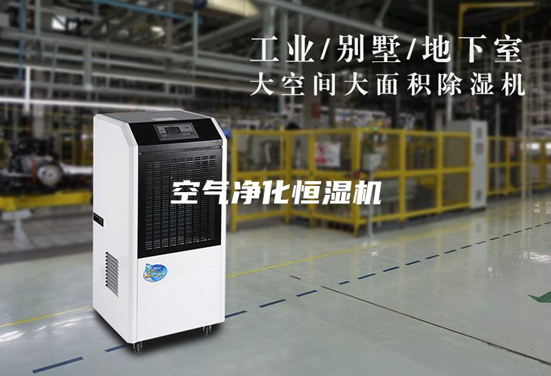 空氣凈化恒濕機