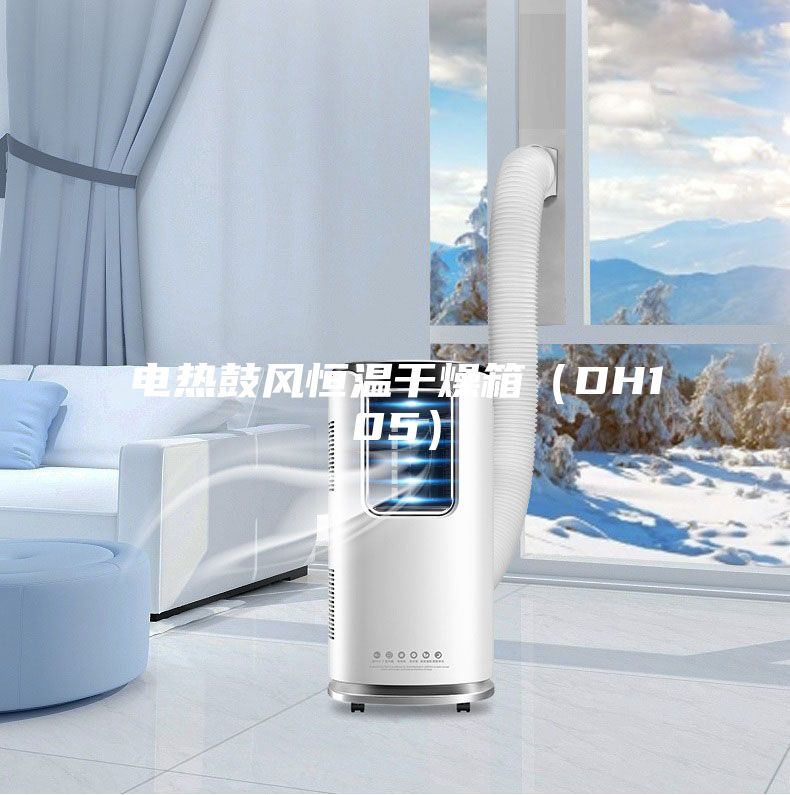 電熱鼓風(fēng)恒溫干燥箱（DH105）