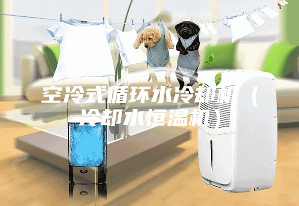 空冷式循環(huán)水冷卻機（冷卻水恒溫機）