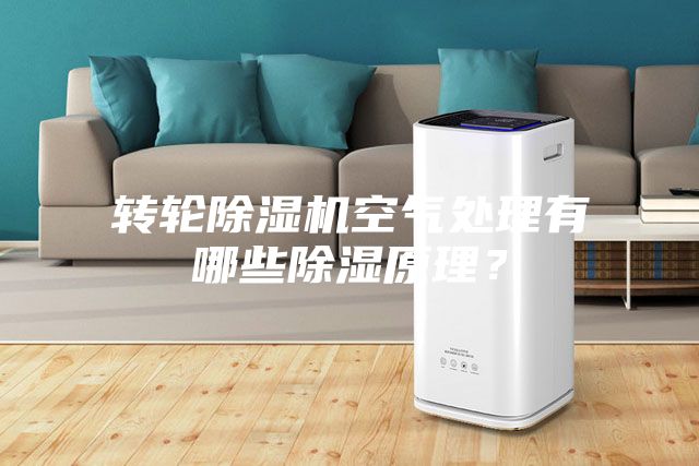 轉(zhuǎn)輪除濕機(jī)空氣處理有哪些除濕原理？