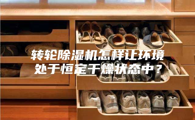 轉(zhuǎn)輪除濕機(jī)怎樣讓環(huán)境處于恒定干燥狀態(tài)中？