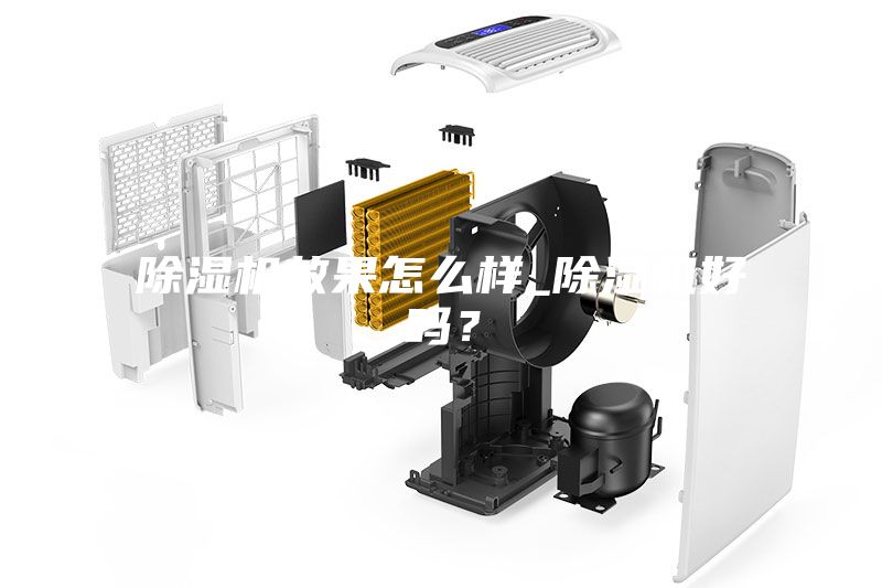 除濕機效果怎么樣_除濕機好嗎？