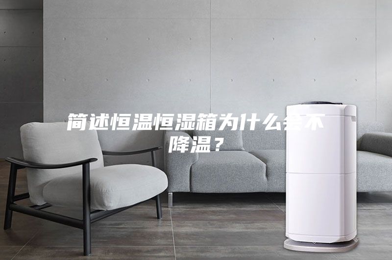簡述恒溫恒濕箱為什么會不降溫？