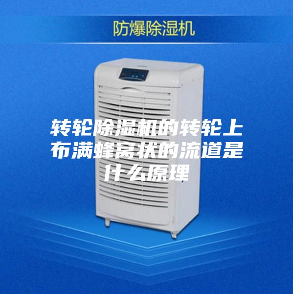 轉(zhuǎn)輪除濕機的轉(zhuǎn)輪上布滿蜂窩狀的流道是什么原理