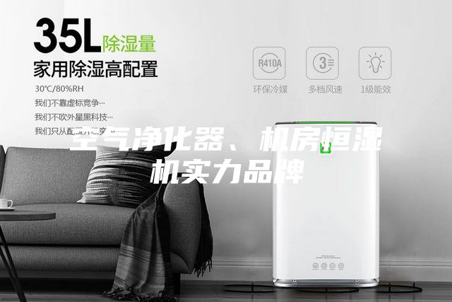 空氣凈化器、機房恒濕機實力品牌