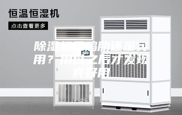 除濕機是雞肋還是實用？用過之后才發(fā)現(xiàn)真好用