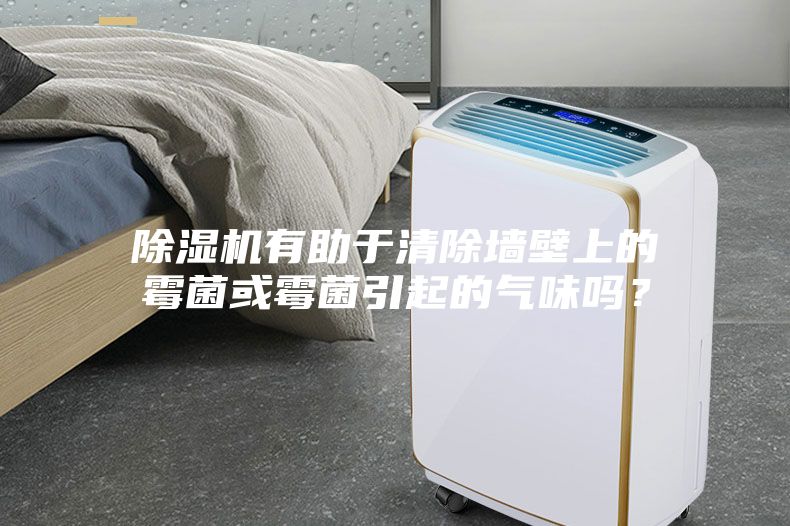 除濕機(jī)有助于清除墻壁上的霉菌或霉菌引起的氣味嗎？