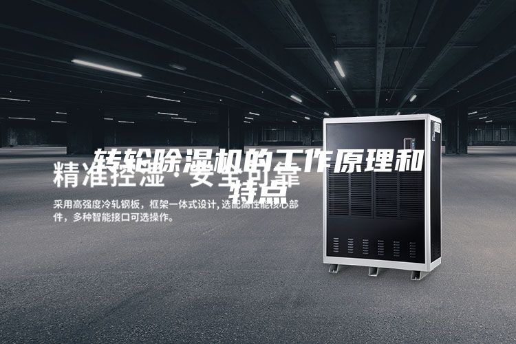 轉(zhuǎn)輪除濕機的工作原理和特點