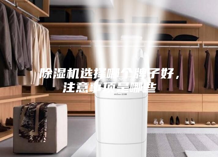 除濕機(jī)選擇哪個(gè)牌子好，注意事項(xiàng)是哪些