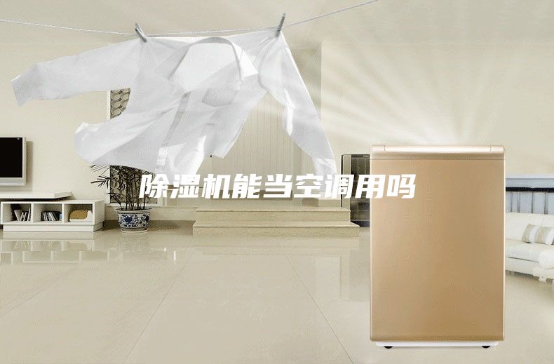 除濕機能當空調(diào)用嗎