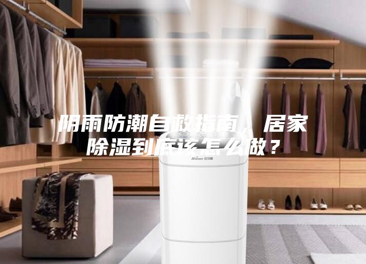 陰雨防潮自救指南，居家除濕到底該怎么做？