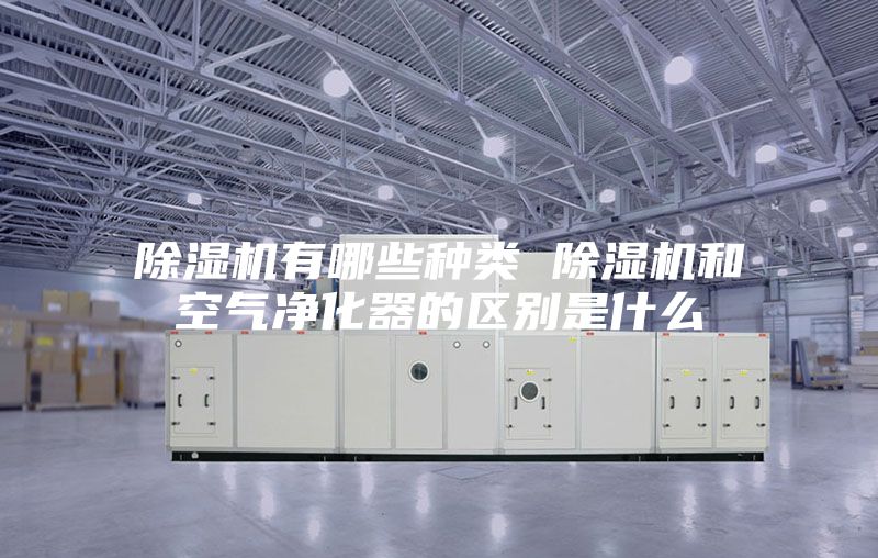 除濕機(jī)有哪些種類 除濕機(jī)和空氣凈化器的區(qū)別是什么