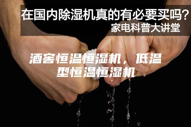 酒窖恒溫恒濕機，低溫型恒溫恒濕機