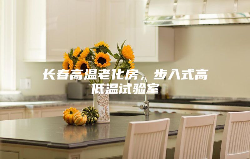 長春高溫老化房，步入式高低溫試驗(yàn)室