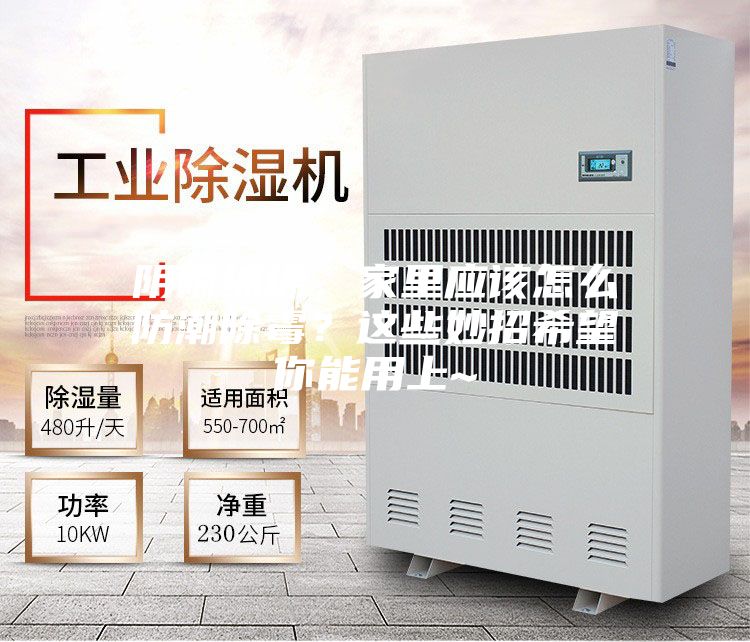 陰雨綿綿，家里應該怎么防潮除霉？這些妙招希望你能用上~