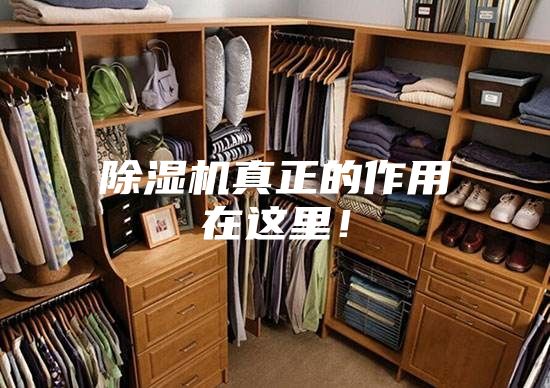 除濕機(jī)真正的作用在這里！