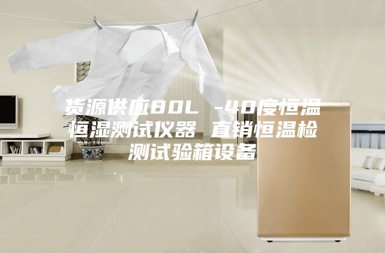 貨源供應80L -40度恒溫恒濕測試儀器 直銷恒溫檢測試驗箱設備