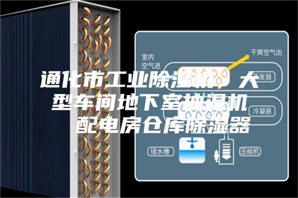 通化市工業(yè)除濕機，大型車間地下室抽濕機  配電房倉庫除濕器