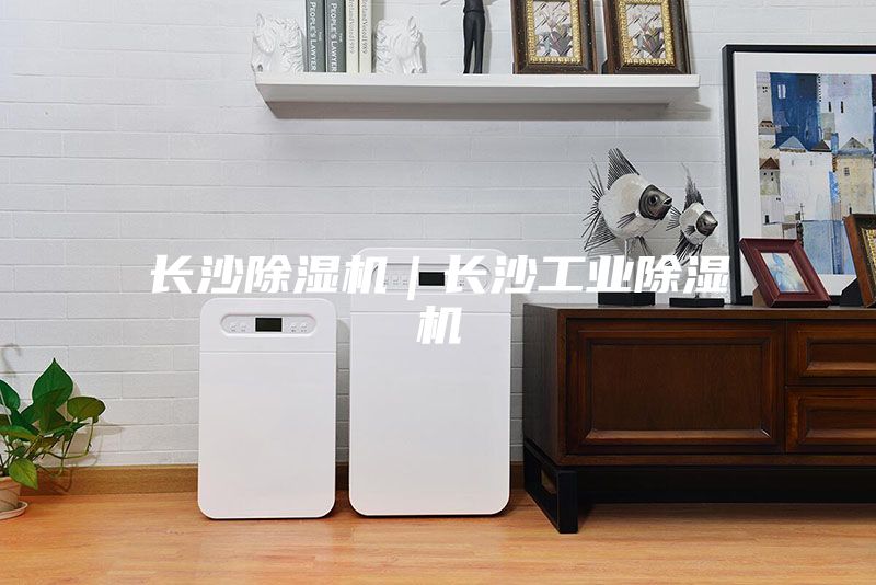長(zhǎng)沙除濕機(jī)｜長(zhǎng)沙工業(yè)除濕機(jī)
