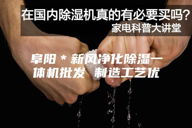 阜陽(yáng)＊新風(fēng)凈化除濕一體機(jī)批發(fā) 制造工藝優(yōu)