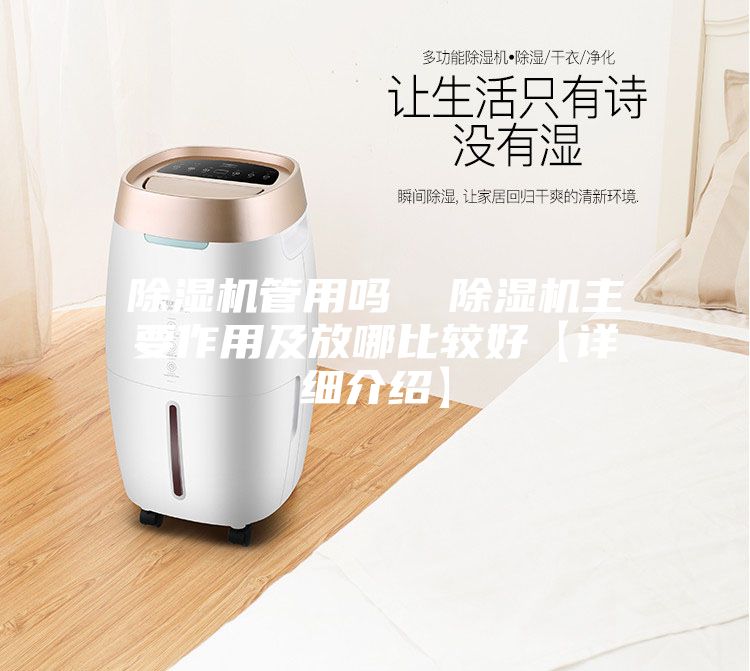 除濕機管用嗎  除濕機主要作用及放哪比較好【詳細介紹】