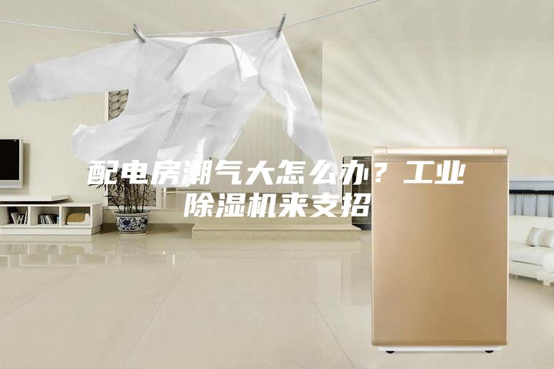 配電房潮氣大怎么辦？工業(yè)除濕機(jī)來(lái)支招