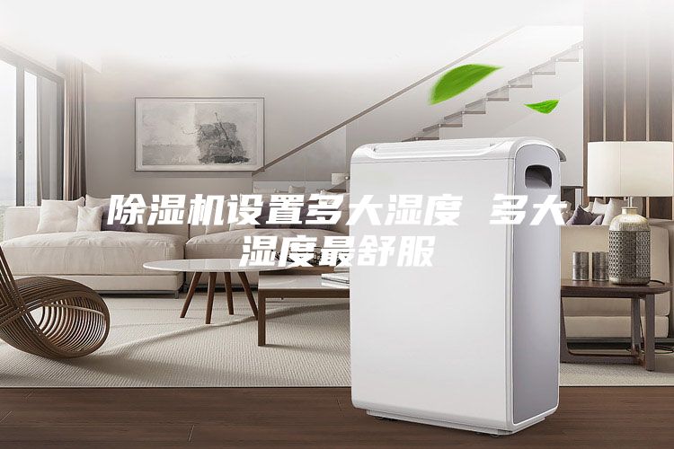 除濕機(jī)設(shè)置多大濕度 多大濕度最舒服