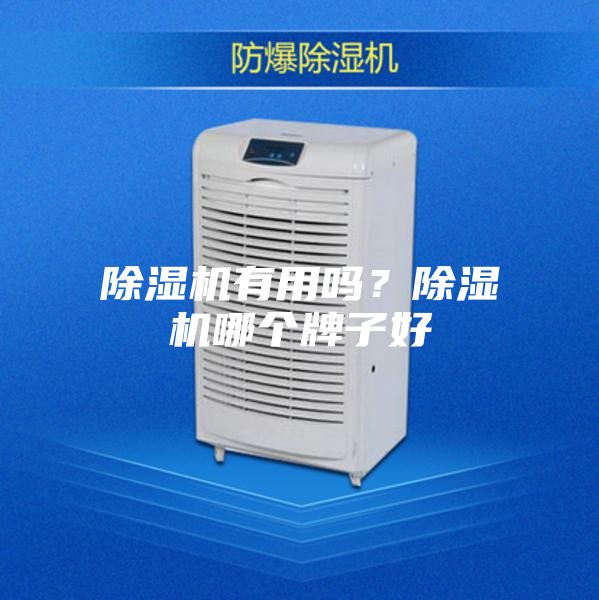 除濕機(jī)有用嗎？除濕機(jī)哪個(gè)牌子好