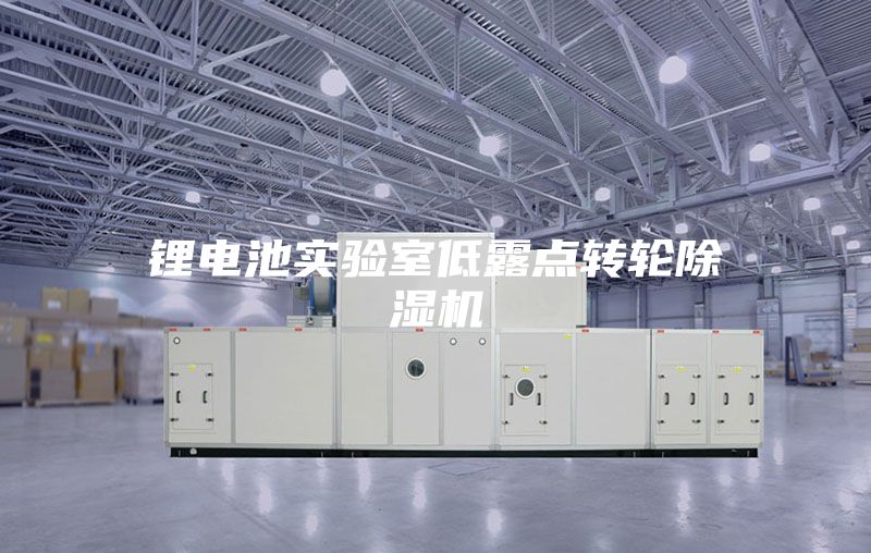 鋰電池實驗室低露點轉(zhuǎn)輪除濕機(jī)