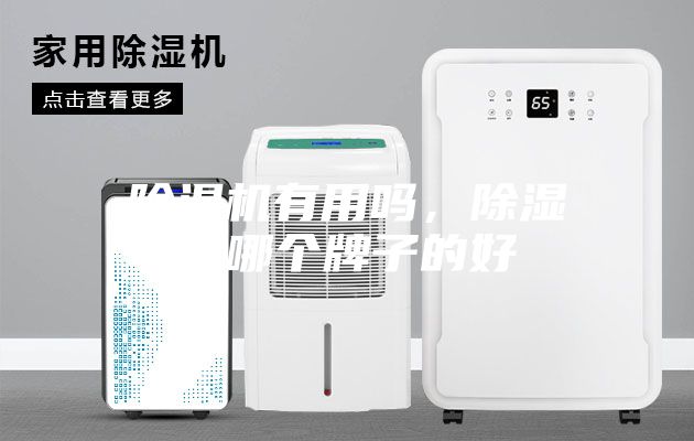 除濕機(jī)有用嗎，除濕機(jī)哪個(gè)牌子的好