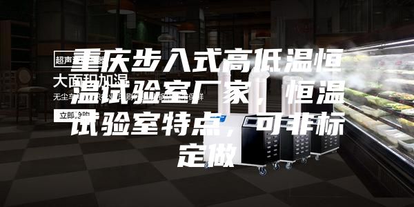 重慶步入式高低溫恒溫試驗(yàn)室廠家，恒溫試驗(yàn)室特點(diǎn)，可非標(biāo)定做