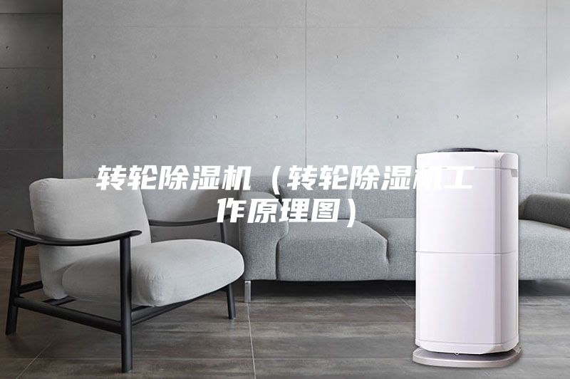 轉(zhuǎn)輪除濕機(jī)（轉(zhuǎn)輪除濕機(jī)工作原理圖）
