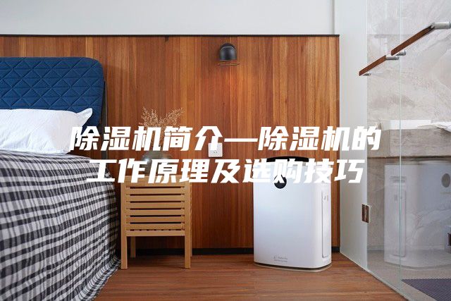 除濕機(jī)簡(jiǎn)介—除濕機(jī)的工作原理及選購(gòu)技巧