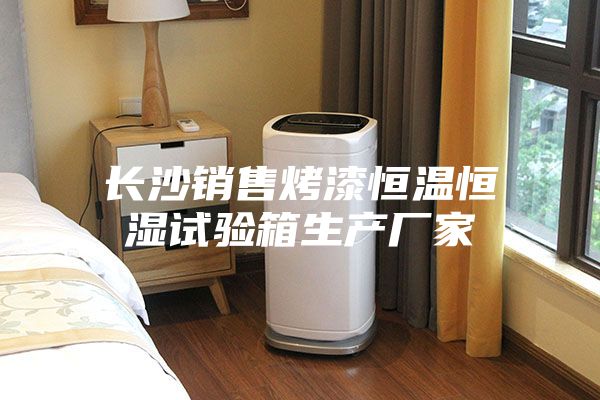 長(zhǎng)沙銷(xiāo)售烤漆恒溫恒濕試驗(yàn)箱生產(chǎn)廠家