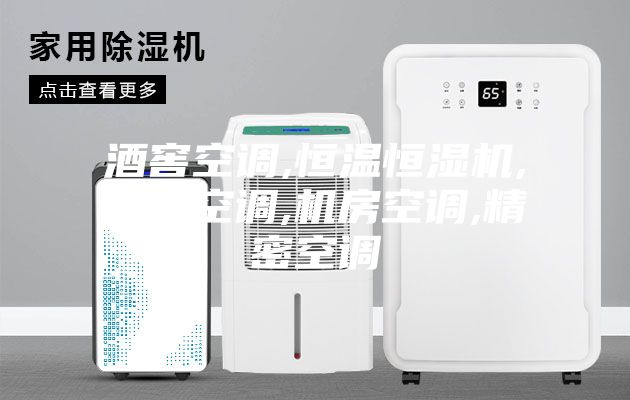 酒窖空調(diào),恒溫恒濕機(jī),凈化空調(diào),機(jī)房空調(diào),精密空調(diào)
