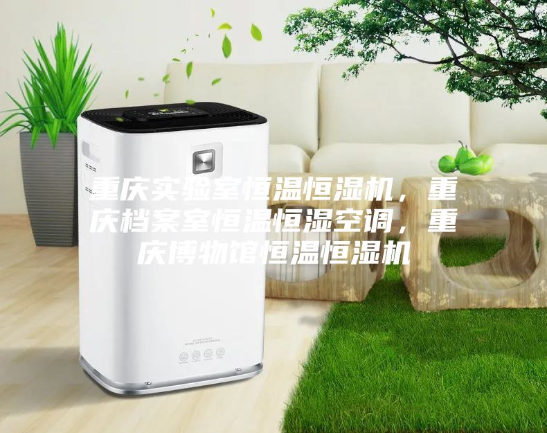 重慶實(shí)驗(yàn)室恒溫恒濕機(jī)，重慶檔案室恒溫恒濕空調(diào)，重慶博物館恒溫恒濕機(jī)