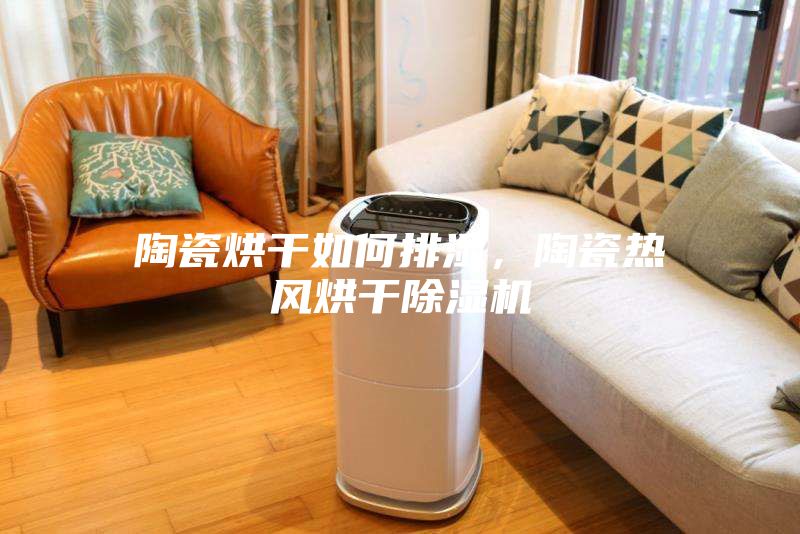 陶瓷烘干如何排濕，陶瓷熱風烘干除濕機