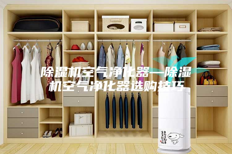 除濕機(jī)空氣凈化器—除濕機(jī)空氣凈化器選購(gòu)技巧