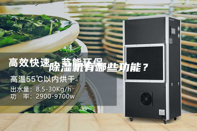 除濕機(jī)有哪些功能？