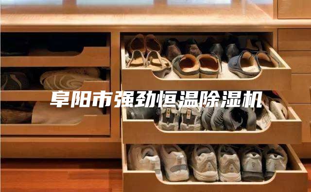 阜陽(yáng)市強(qiáng)勁恒溫除濕機(jī)